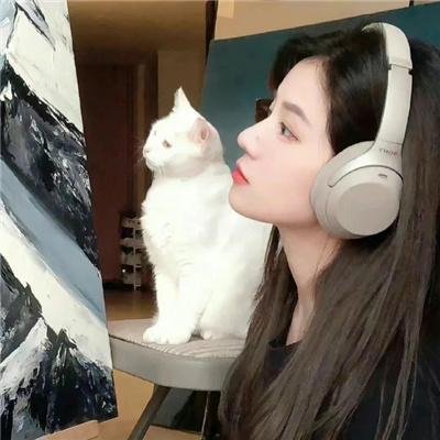 野猫痴情
